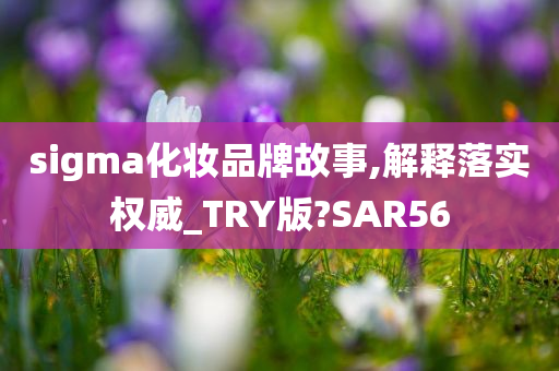 sigma化妆品牌故事,解释落实权威_TRY版?SAR56