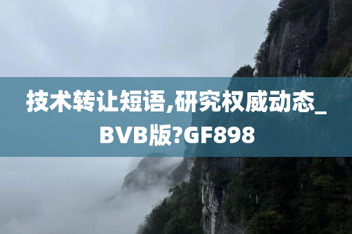 技术转让短语,研究权威动态_BVB版?GF898