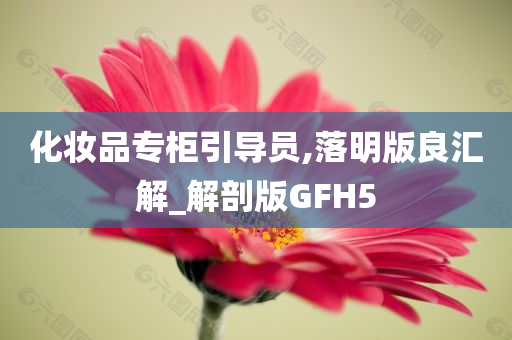 化妆品专柜引导员,落明版良汇解_解剖版GFH5
