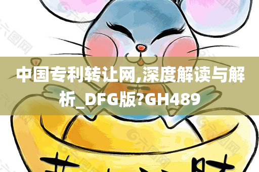 中国专利转让网,深度解读与解析_DFG版?GH489