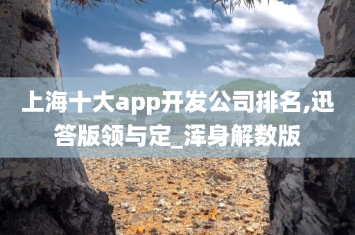 上海十大app开发公司排名,迅答版领与定_浑身解数版
