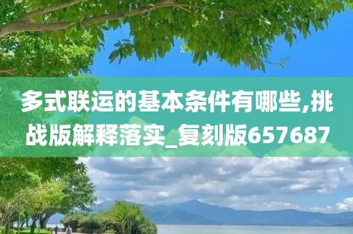多式联运的基本条件有哪些,挑战版解释落实_复刻版657687