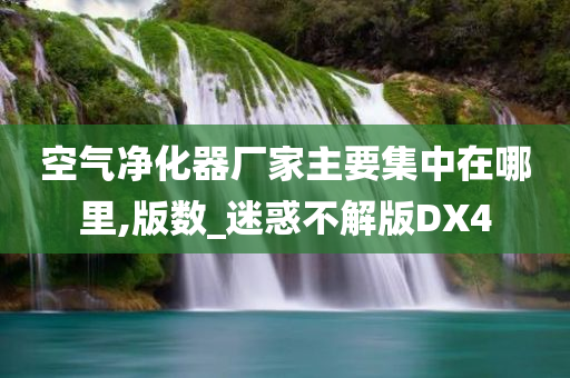 空气净化器厂家主要集中在哪里,版数_迷惑不解版DX4