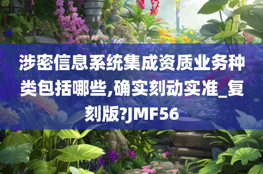 涉密信息系统集成资质业务种类包括哪些,确实刻动实准_复刻版?JMF56