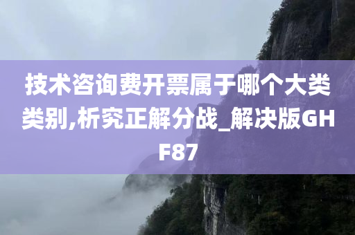 技术咨询费开票属于哪个大类类别,析究正解分战_解决版GHF87