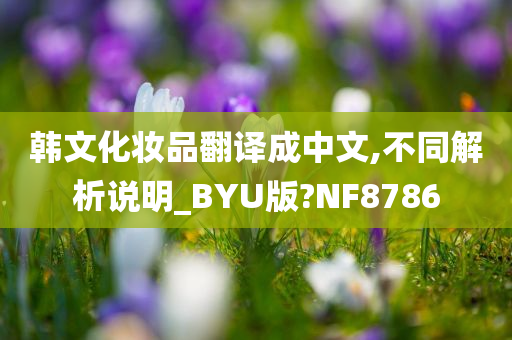 韩文化妆品翻译成中文,不同解析说明_BYU版?NF8786