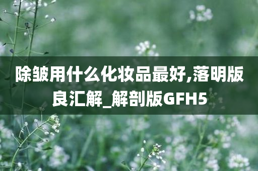 除皱用什么化妆品最好,落明版良汇解_解剖版GFH5