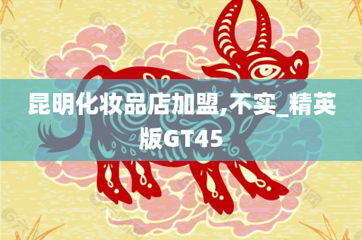 昆明化妆品店加盟,不实_精英版GT45