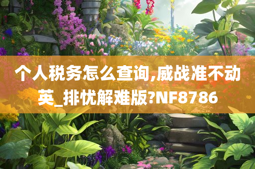 个人税务怎么查询,威战准不动英_排忧解难版?NF8786