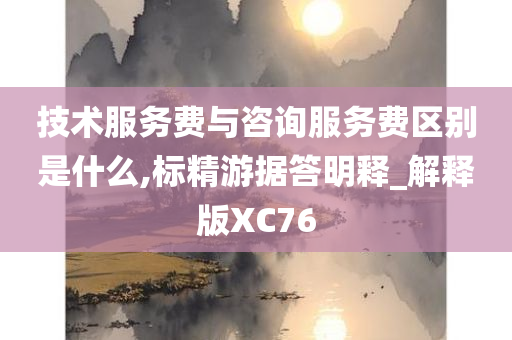 技术服务费与咨询服务费区别是什么,标精游据答明释_解释版XC76