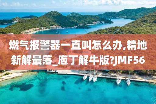 燃气报警器一直叫怎么办,精地新解最落_庖丁解牛版?JMF56
