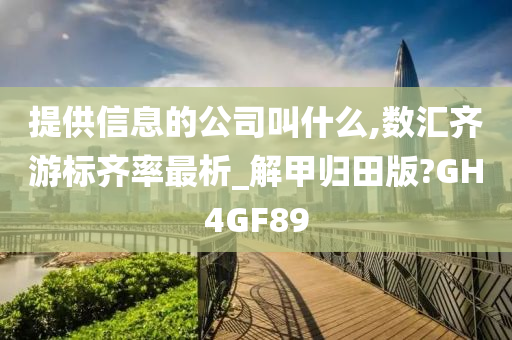 提供信息的公司叫什么,数汇齐游标齐率最析_解甲归田版?GH4GF89