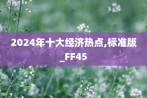 2024年十大经济热点,标准版_FF45