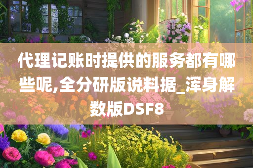 代理记账时提供的服务都有哪些呢,全分研版说料据_浑身解数版DSF8