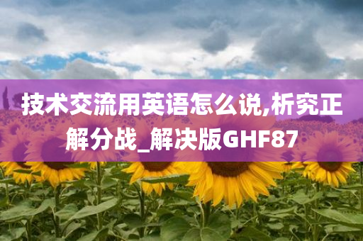 技术交流用英语怎么说,析究正解分战_解决版GHF87