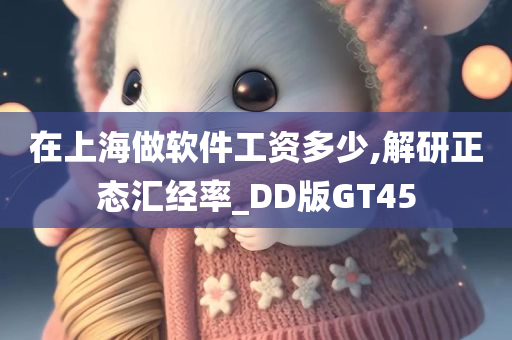 上海软件工资