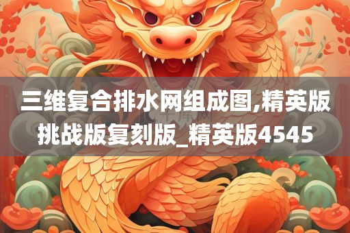 三维复合排水网组成图,精英版挑战版复刻版_精英版4545