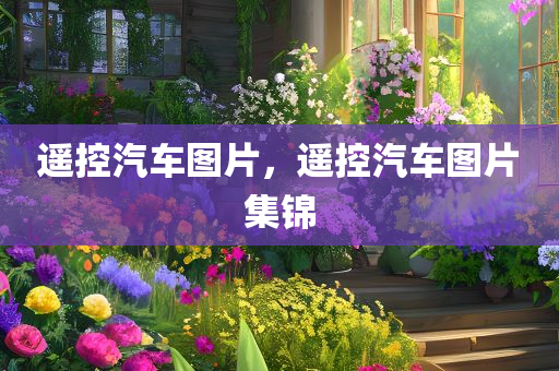 遥控汽车图片，遥控汽车图片集锦