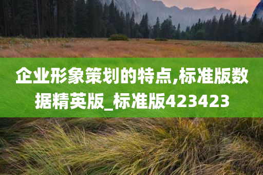 企业形象策划的特点,标准版数据精英版_标准版423423
