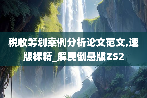 税收筹划案例分析论文范文,速版标精_解民倒悬版ZS2