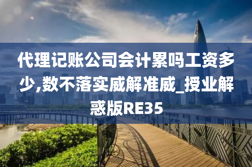代理记账公司会计累吗工资多少,数不落实威解准威_授业解惑版RE35