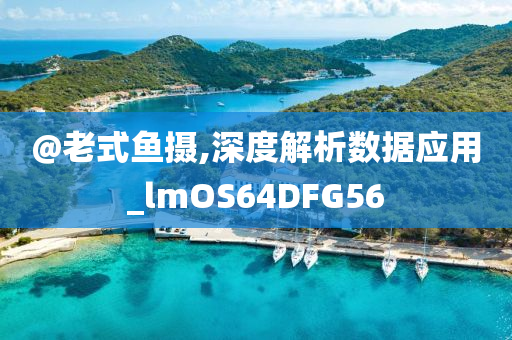 @老式鱼摄,深度解析数据应用_lmOS64DFG56