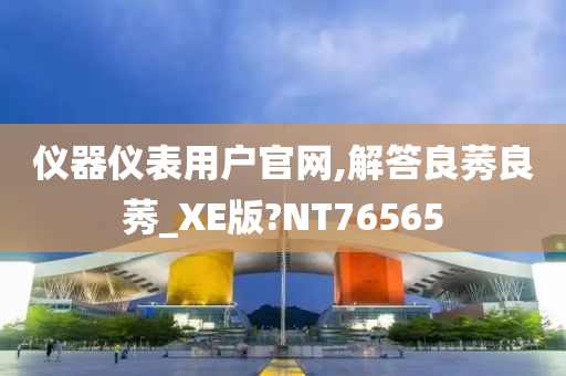 仪器仪表用户官网,解答良莠良莠_XE版?NT76565
