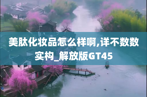 美肽化妆品怎么样啊,详不数数实构_解放版GT45