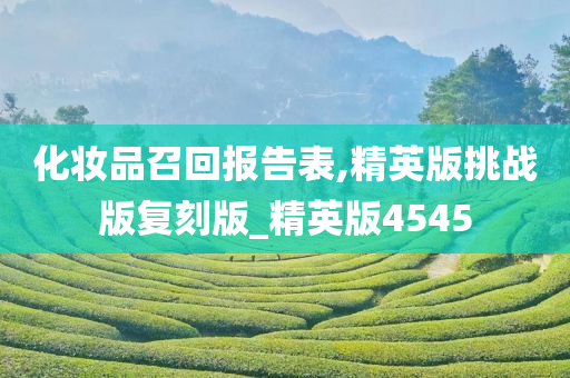 化妆品召回报告表,精英版挑战版复刻版_精英版4545