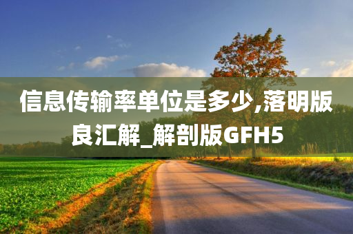 信息传输率单位是多少,落明版良汇解_解剖版GFH5今晚必出三肖2025_2025新澳门精准免费提供·精确判断
