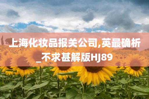 上海化妆品报关公司,英最确析_不求甚解版HJ89
