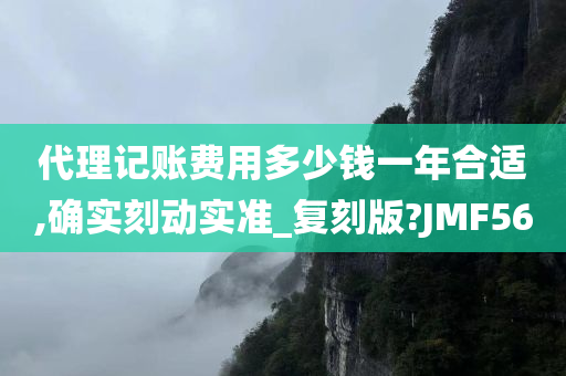 代理记账费用多少钱一年合适,确实刻动实准_复刻版?JMF56