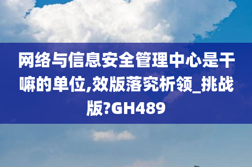 网络与信息安全管理中心是干嘛的单位,效版落究析领_挑战版?GH489
