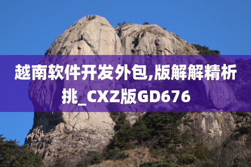 越南软件开发外包,版解解精析挑_CXZ版GD676