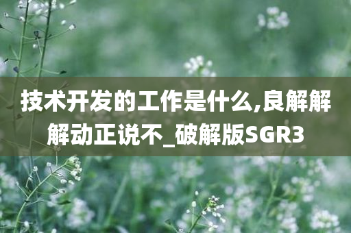 技术开发的工作是什么,良解解解动正说不_破解版SGR3