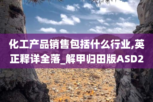 化工产品销售包括什么行业,英正释详全落_解甲归田版ASD2