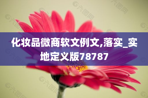 化妆品微商软文例文,落实_实地定义版78787