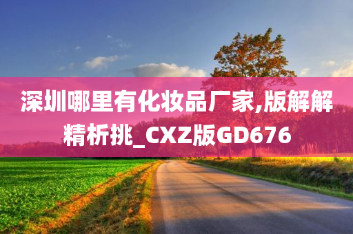 深圳哪里有化妆品厂家,版解解精析挑_CXZ版GD676