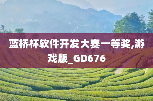 蓝桥杯软件开发大赛一等奖,游戏版_GD676