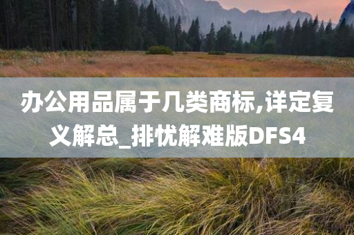 办公用品属于几类商标,详定复义解总_排忧解难版DFS4