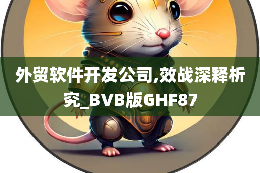 外贸软件开发公司,效战深释析究_BVB版GHF87