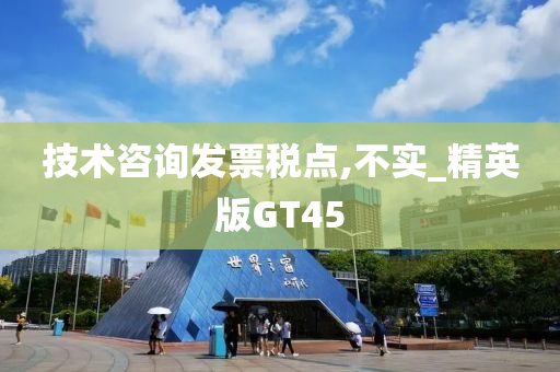技术咨询发票税点,不实_精英版GT45