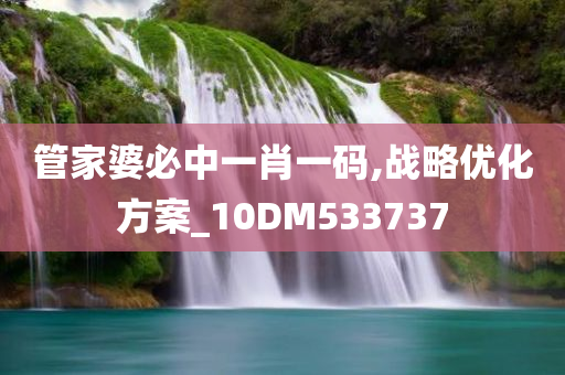 管家婆必中一肖一码,战略优化方案_10DM533737