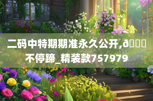 二码中特期期准永久公开,??不停蹄_精装款757979