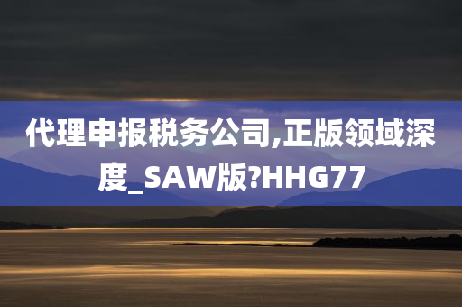 代理申报税务公司,正版领域深度_SAW版?HHG77