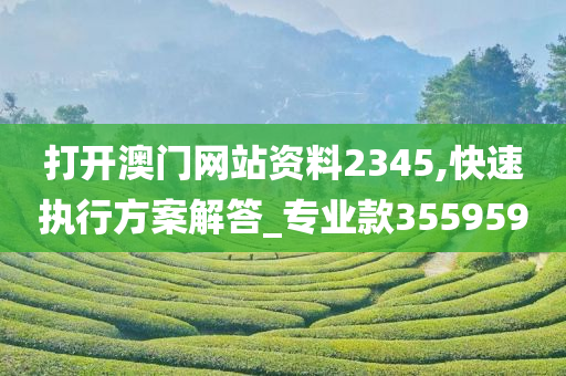 打开澳门网站资料2345,快速执行方案解答_专业款355959