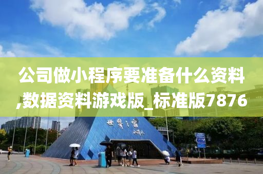 公司做小程序要准备什么资料,数据资料游戏版_标准版7876