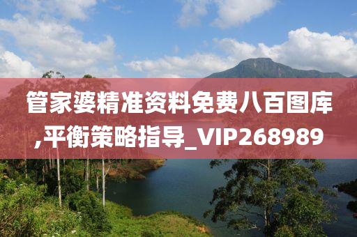 管家婆精准资料免费八百图库,平衡策略指导_VIP268989