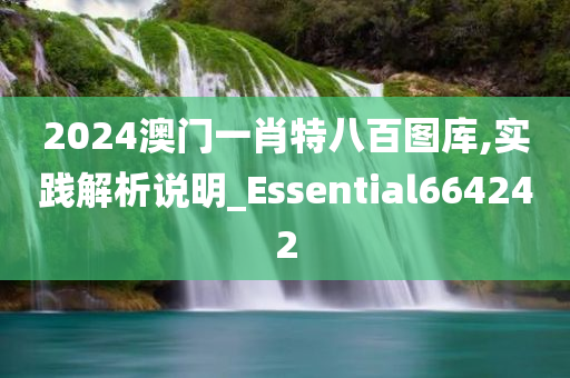 2024澳门一肖特八百图库,实践解析说明_Essential664242