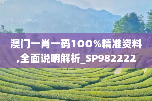 澳门一肖一码1OO%精准资料,全面说明解析_SP982222